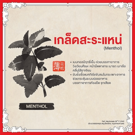บาล์มเหลือง เซียงเพียว ขนาด 40 กรัม จำนวน 24 ชิ้น_3